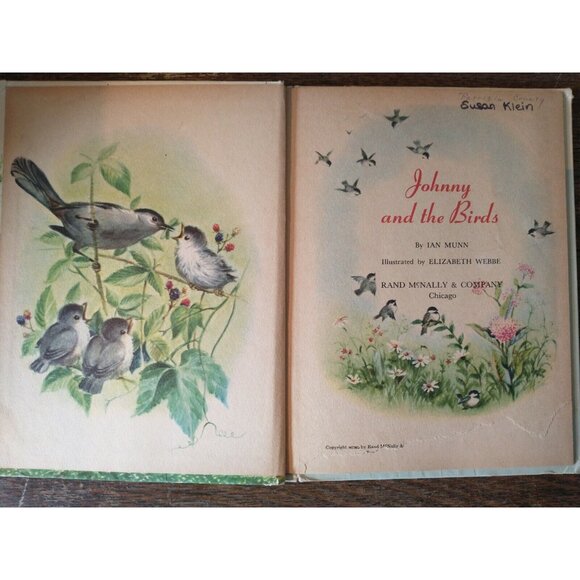 1950 Johnny and the Birds by Ian Munn Rand McNally Elf Book - Picture 3 of 5